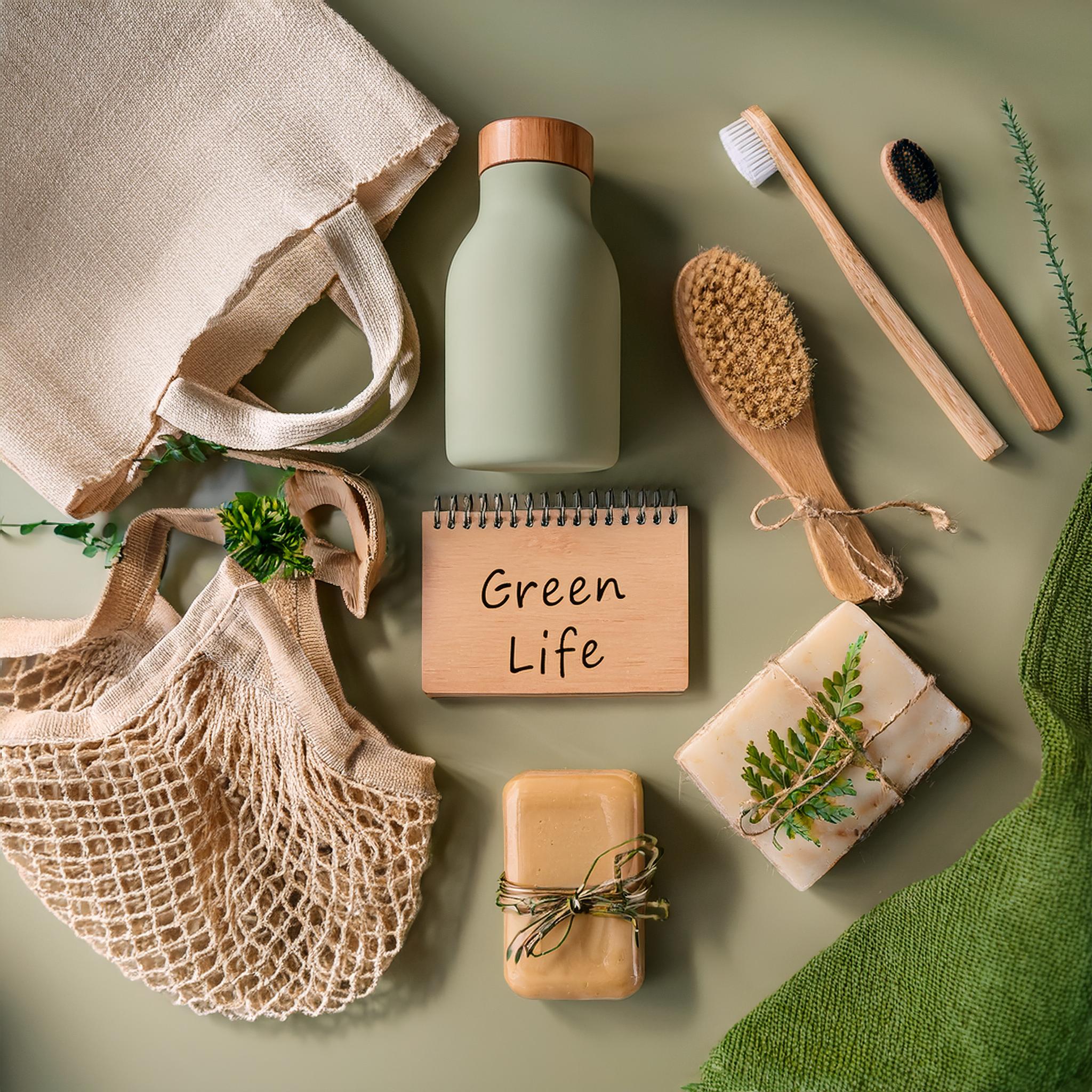 Nachhaltig leben Tipps – 10 einfache Wege für Einsteiger